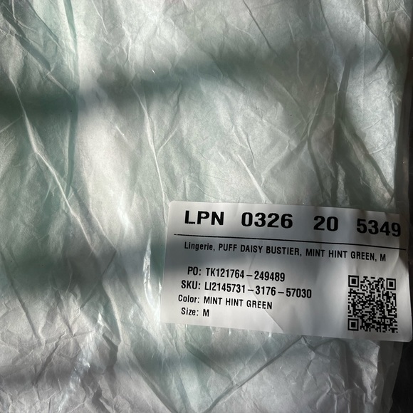 Savage X Fenty Mint Hint Green Puff Daisy Unlined Bustier Set with Bikini Panty - Picture 12 of 16